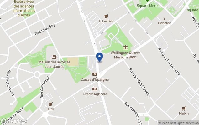 agence immobiliere debuisson