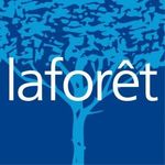 LAFOR&Ecirc;T L'IMMOBILIERE DE SAINT OMER